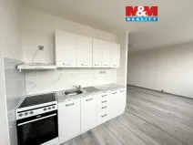 Pronájem bytu 1+1, Most, Javorová, 33 m2