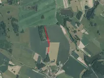 Prodej pole, Hrejkovice, 8223 m2