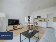Pronájem bytu 2+kk, Praha - Vinohrady, Písecká, 47 m2