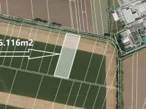 Prodej pole, Moravské Knínice, 5116 m2