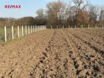 Prodej sadu/vinice, Nové Dvory, 9979 m2