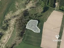 Prodej podílu lesa, Suchá, 1564 m2