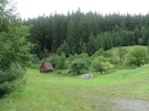 Dražba louky, Velké Karlovice, 24946 m2