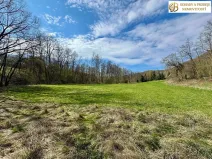 Prodej pozemku pro bydlení, Libina, 8112 m2