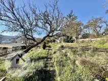 Prodej zahrady, Ústí nad Labem, V Kutišti, 359 m2