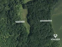 Prodej lesa, Hradčovice, 805 m2