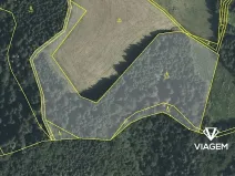 Prodej podílu lesa, Cotkytle, 2355 m2