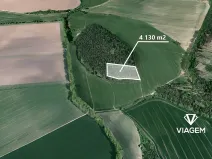 Prodej podílu lesa, Seloutky, 1150 m2