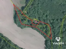 Prodej podílu lesa, Vráž, 3564 m2