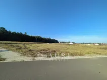 Prodej pozemku pro bydlení, Olešná, 1130 m2