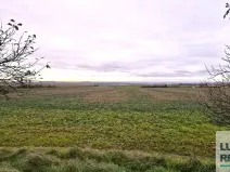 Prodej pole, Mělník, Kokořínská, 27040 m2