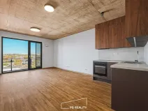 Pronájem bytu 1+kk, Plzeň, Kamenická, 34 m2