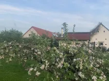 Prodej komerční, Pluhův Žďár - Jižná, 28792 m2