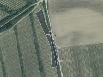 Prodej sadu/vinice, Čejkovice, 3575 m2