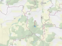 Dražba lesa, Kuřimany, 8912 m2