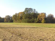 Dražba louky, Petrovice u Karviné, 6981 m2