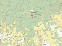 Dražba lesa, Lačnov, 2442 m2