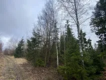 Prodej lesa, Kolinec - Buršice, 5195 m2