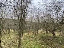 Prodej lesa, Šarovy, 11619 m2