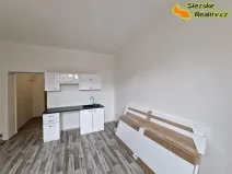 Pronájem bytu 1+kk, Ostrava, 26 m2