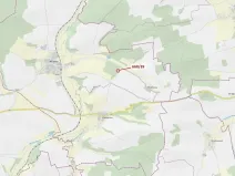 Dražba lesa, Milavče, 222 m2