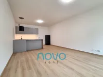 Pronájem bytu 1+kk, Praha - Vysočany, Gerstelova, 41 m2