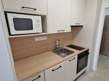 Pronájem bytu 1+kk, Brno, Žitná, 30 m2