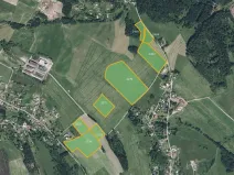 Prodej louky, Jílové u Držkova, 26037 m2