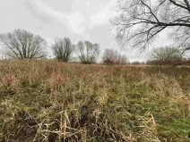 Dražba louky, Křenovice, 4103 m2