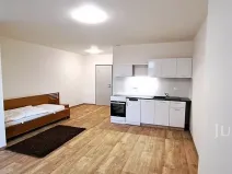 Pronájem bytu 1+kk, Čížová, 25 m2