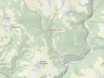 Dražba lesa, Jílové u Držkova, 3439 m2