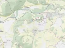 Dražba lesa, Rabí, 7006 m2