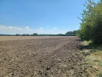 Prodej pozemku pro bydlení, Horka nad Moravou, 43000 m2