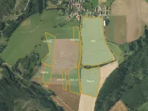 Prodej podílu pole, Borovná, 60983 m2