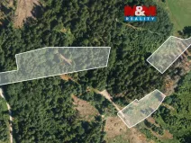 Prodej lesa, Železný Brod, 11203 m2