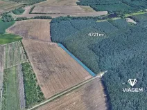 Prodej podílu pole, Valtice, 354 m2
