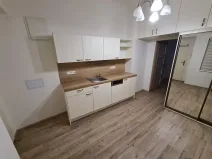 Pronájem bytu 1+kk, Praha - Nové Město, Opletalova, 43 m2