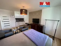 Pronájem bytu 1+kk, Ostrava - Moravská Ostrava, U Parku, 28 m2