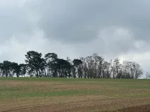 Prodej lesa, Plaňany, 1690 m2