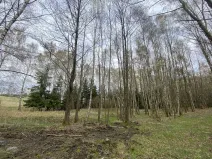 Prodej pozemku, Volfířov - Brandlín, 5958 m2