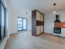 Pronájem bytu 1+kk, Praha - Žižkov, Malešická, 39 m2