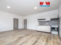 Pronájem bytu 2+kk, Radnice, Na Potocích, 57 m2