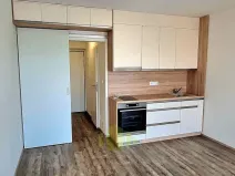 Pronájem bytu 1+kk, Olomouc, Wolkerova, 34 m2