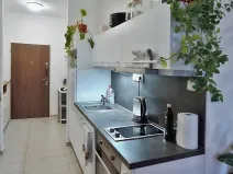 Pronájem bytu 1+kk, Brno, Příční, 42 m2