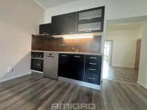 Pronájem bytu 3+kk, Brno, Merhautova, 74 m2