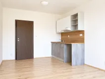 Pronájem bytu 1+kk, Syrovice, 27 m2