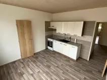 Pronájem bytu 1+1, Brno, Palackého třída, 50 m2