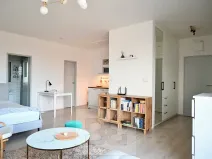 Pronájem bytu 1+kk, Brno, Křenová, 40 m2