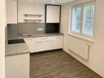 Pronájem bytu 1+1, Děčín, Kamenická, 38 m2