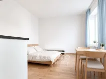 Pronájem bytu 1+kk, Brno, Nováčkova, 25 m2